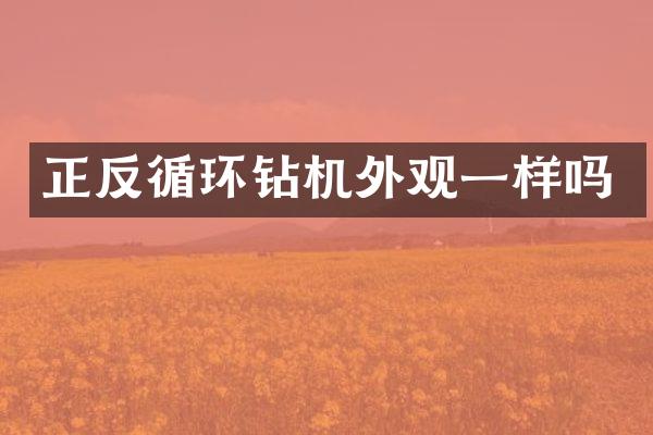 正反循環(huán)鉆機(jī)外觀一樣嗎