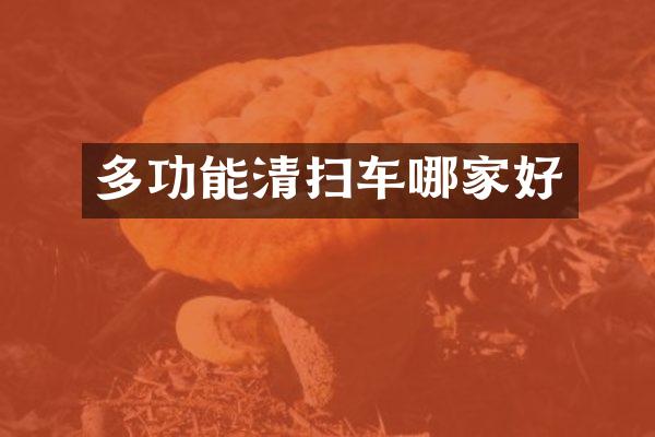 多功能清扫车哪家好