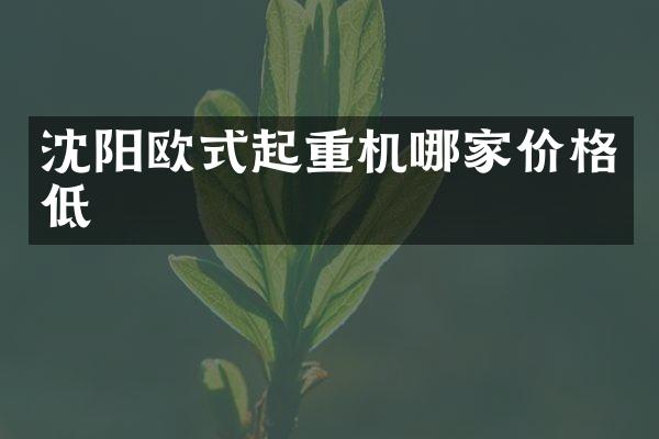 沈陽歐式起重機(jī)哪家價(jià)格低