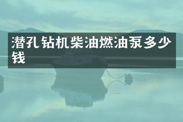 潛孔鉆機柴油燃油泵多少錢