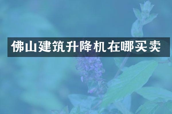 佛山建筑升降機在哪買賣