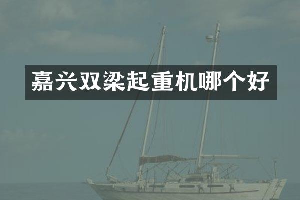 嘉興雙梁起重機哪個好