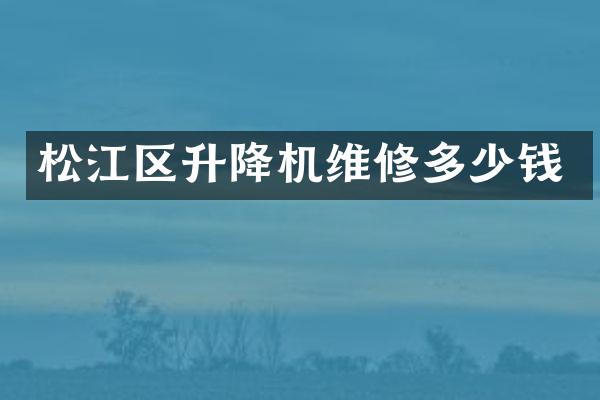 松江區(qū)升降機維修多少錢