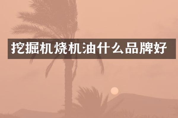 挖掘機燒機油什么品牌好