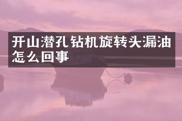 開山潛孔鉆機旋轉頭漏油怎么回事