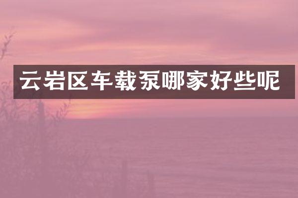 云巖區(qū)車(chē)載泵哪家好些呢