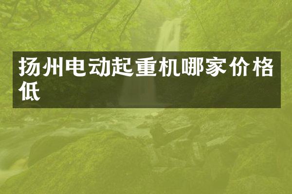 揚州電動起重機哪家價格低