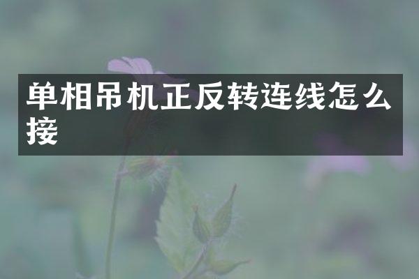 單相吊機正反轉(zhuǎn)連線怎么接