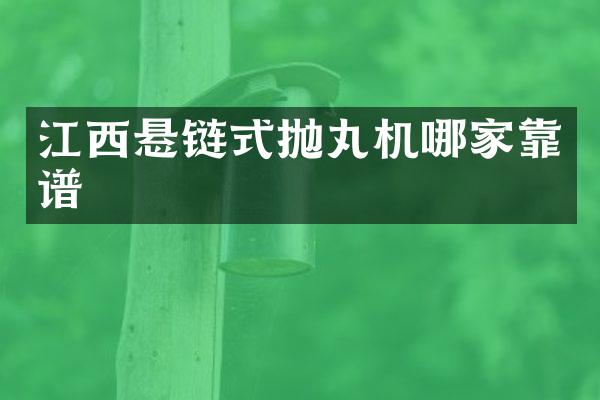 江西懸鏈?zhǔn)綊佂铏C(jī)哪家靠譜