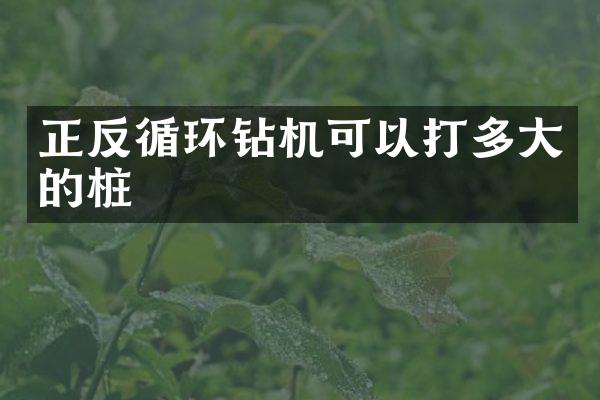 正反循環(huán)鉆機(jī)可以打多大的樁