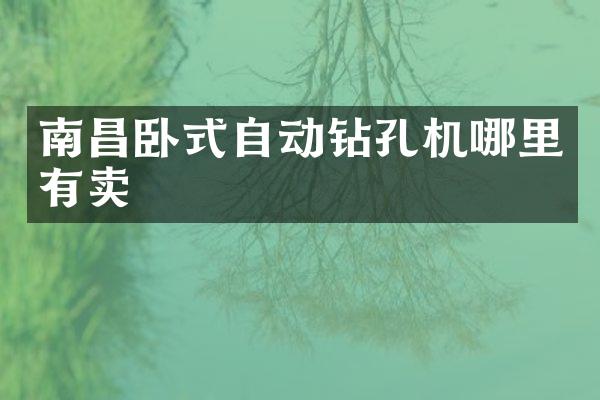 南昌臥式自動鉆孔機哪里有賣