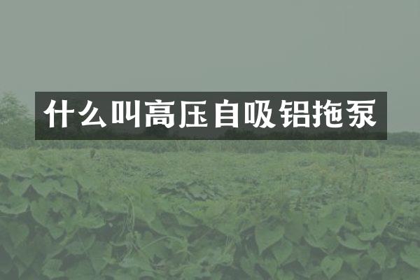 什么叫高壓自吸鋁拖泵