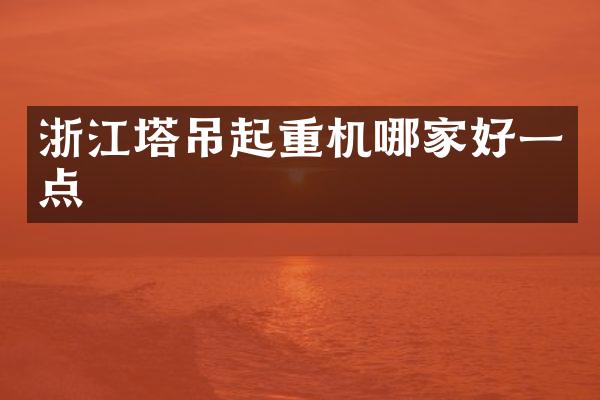 浙江塔吊起重機(jī)哪家好一點(diǎn)