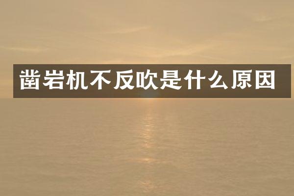 鑿巖機(jī)不反吹是什么原因