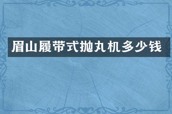 眉山履帶式拋丸機(jī)多少錢