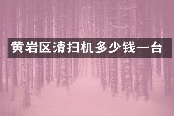 黃巖區(qū)清掃機多少錢一臺