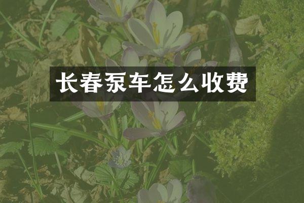 長春泵車怎么收費(fèi)