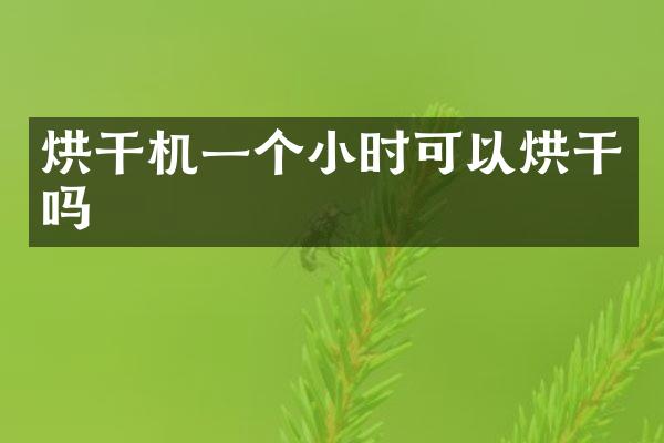 烘干機(jī)一個(gè)小時(shí)可以烘干嗎