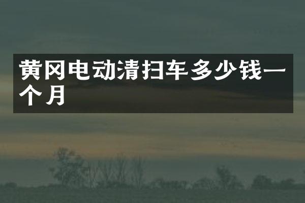 黃岡電動(dòng)清掃車多少錢一個(gè)月