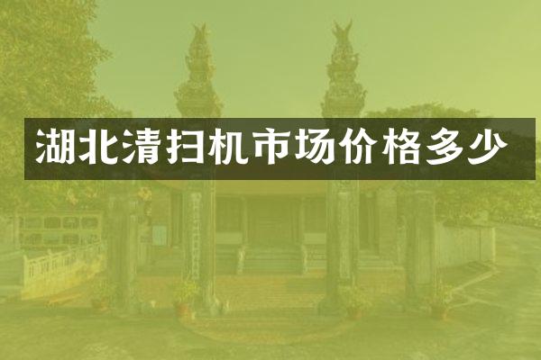 湖北清掃機市場價格多少