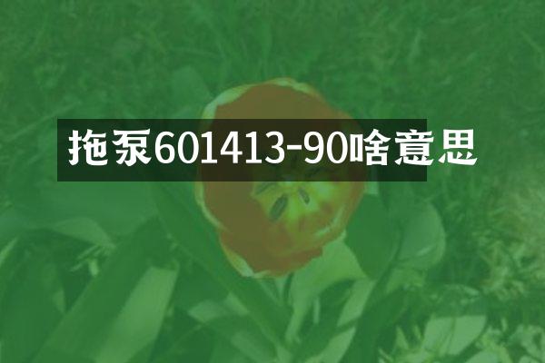 拖泵601413-90啥意思