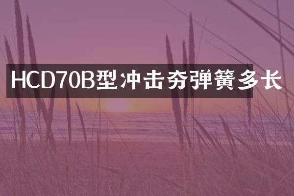 HCD70B型沖擊夯彈簧多長