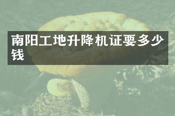 南陽工地升降機證要多少錢