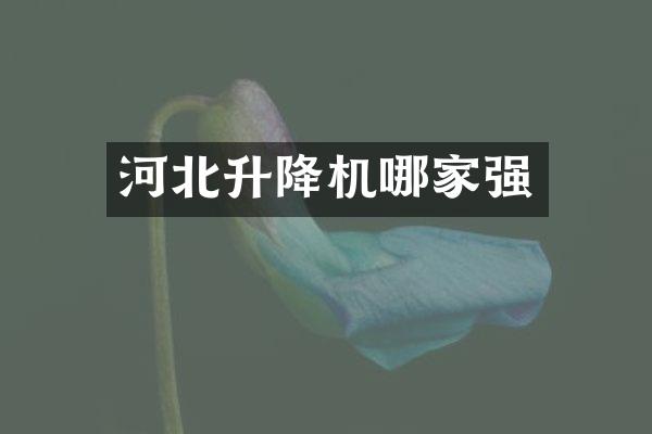 河北升降機(jī)哪家強(qiáng)