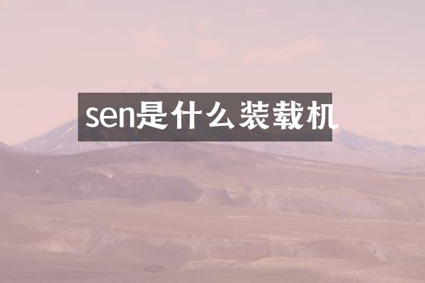 sen是什么裝載機