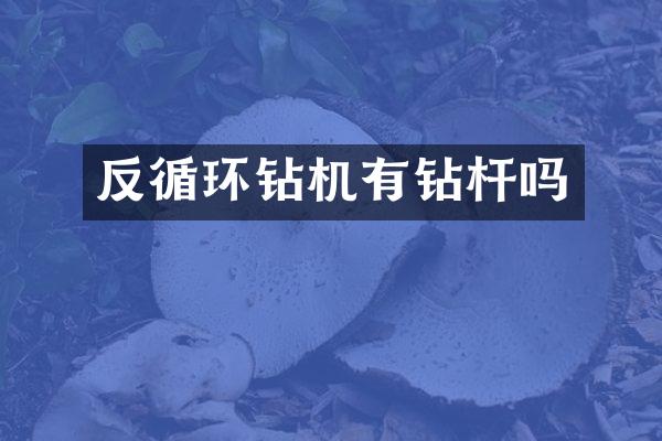 反循環(huán)鉆機有鉆桿嗎