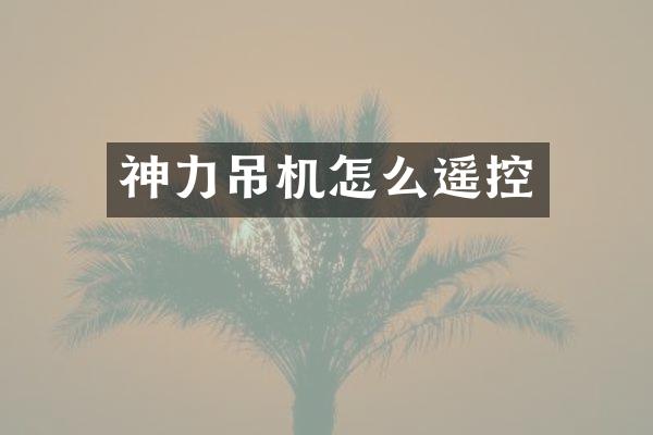 神力吊機(jī)怎么遙控