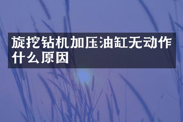 旋挖鉆機(jī)加壓油缸無(wú)動(dòng)作什么原因