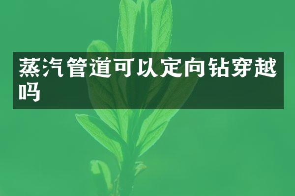 蒸汽管道可以定向鉆穿越嗎