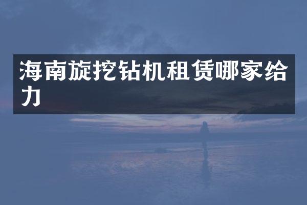 海南旋挖鉆機租賃哪家給力