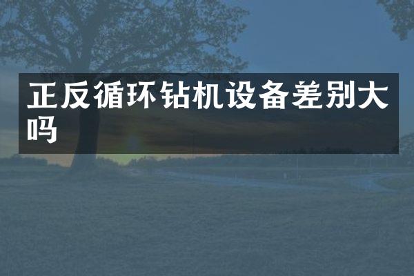 正反循環(huán)鉆機(jī)設(shè)備差別大嗎