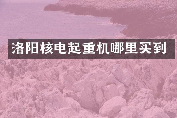 洛陽核電起重機哪里買到