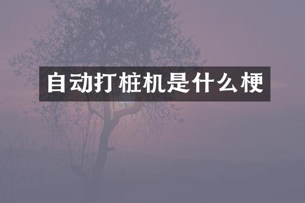 自動打樁機是什么梗