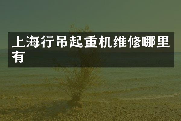 上海行吊起重機維修哪里有