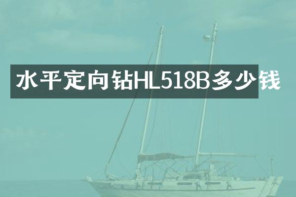 水平定向鉆HL518B多少錢