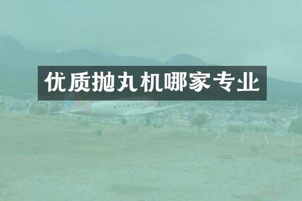 優(yōu)質(zhì)拋丸機(jī)哪家專業(yè)