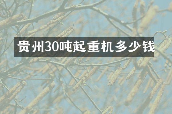 貴州30噸起重機多少錢