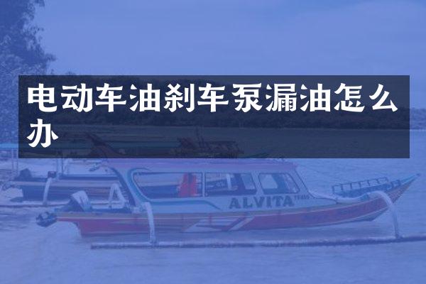 電動(dòng)車油剎車泵漏油怎么辦