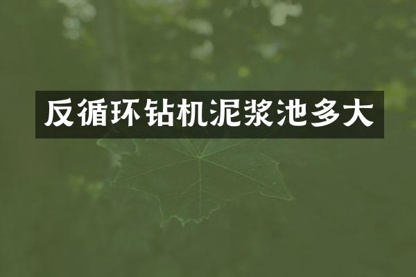 反循環(huán)鉆機泥漿池多大