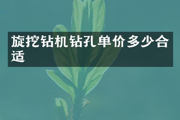 旋挖鉆機鉆孔單價多少合適