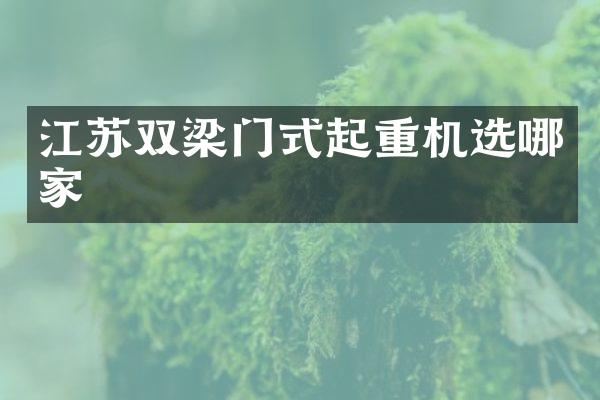 江蘇雙梁門(mén)式起重機(jī)選哪家