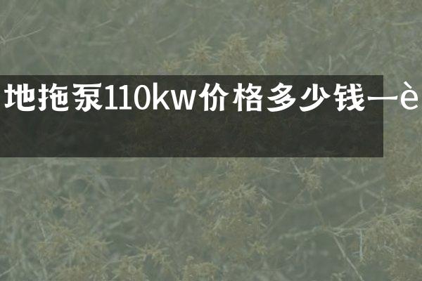 地拖泵110kw價(jià)格多少錢(qián)一輛