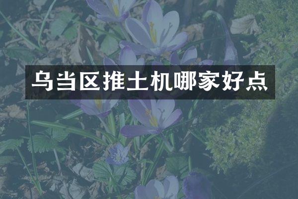 烏當(dāng)區(qū)推土機(jī)哪家好點(diǎn)