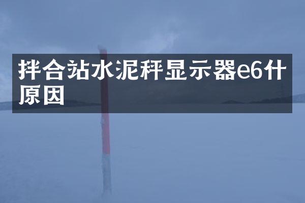 拌合站水泥秤顯示器e6什么原因