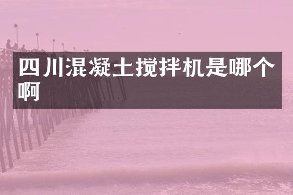 四川混凝土攪拌機(jī)是哪個(gè)啊