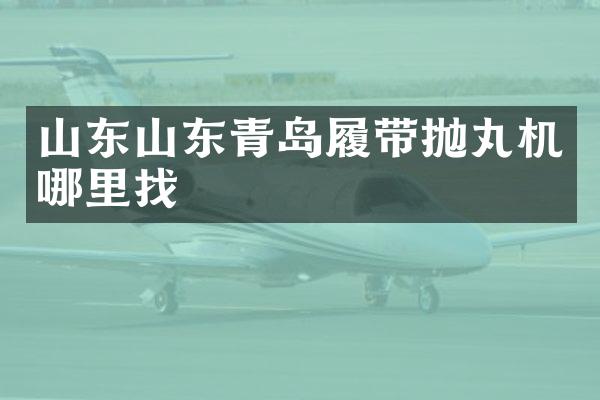 山東山東青島履帶拋丸機(jī)哪里找